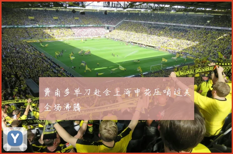 费南多单刀赴会上海申花压哨过关全场沸腾