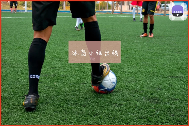 冰岛小组出线