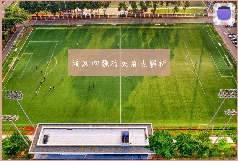 埃及四强对决看点解析