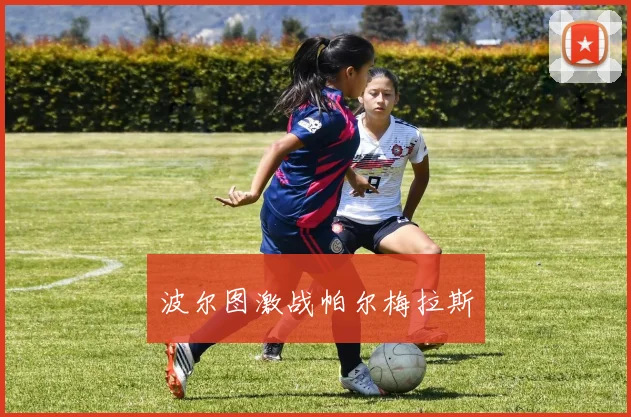 波尔图激战帕尔梅拉斯