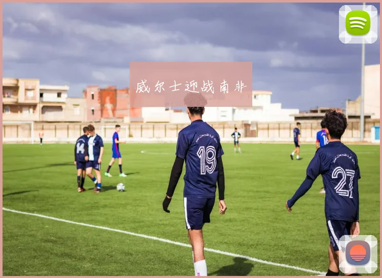 威尔士迎战南非