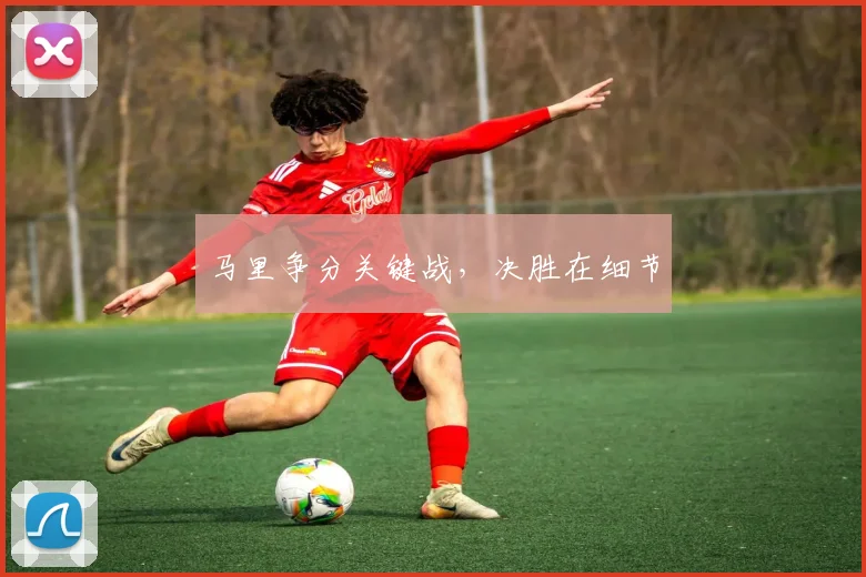 马里争分关键战，决胜在细节