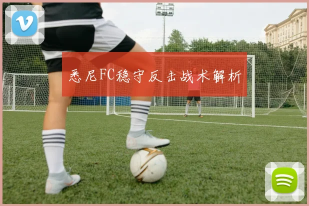 悉尼FC稳守反击战术解析