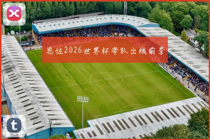 恩佐2026世界杯带队出线前景
