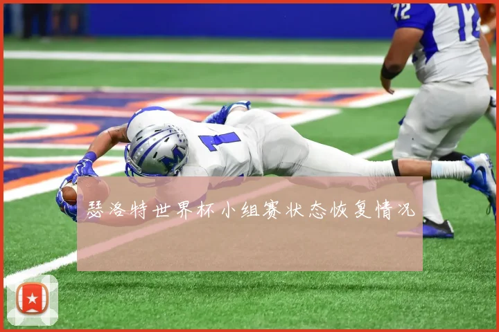瑟洛特世界杯小组赛状态恢复情况