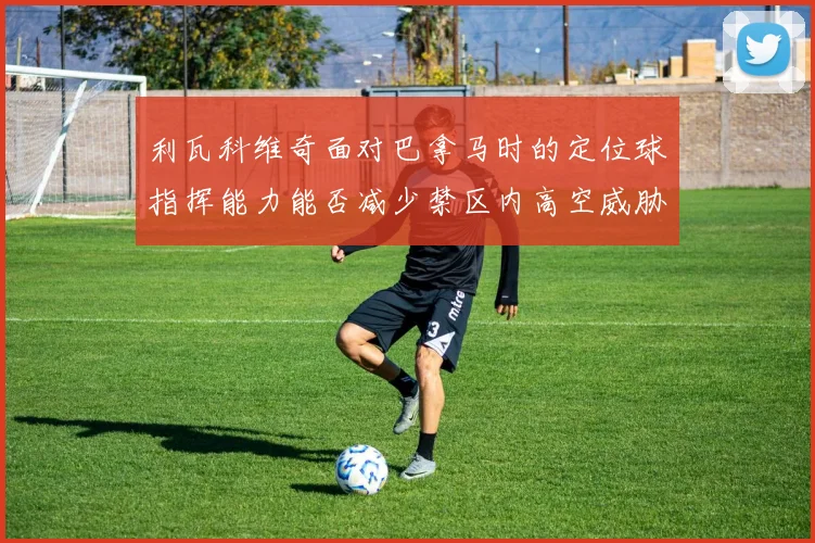 利瓦科维奇面对巴拿马时的定位球指挥能力能否减少禁区内高空威胁