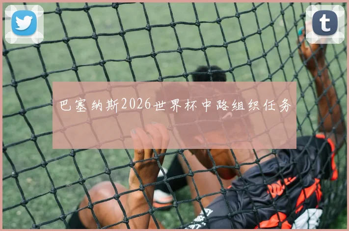 巴塞纳斯2026世界杯中路组织任务