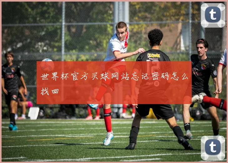世界杯官方买球网站忘记密码怎么找回